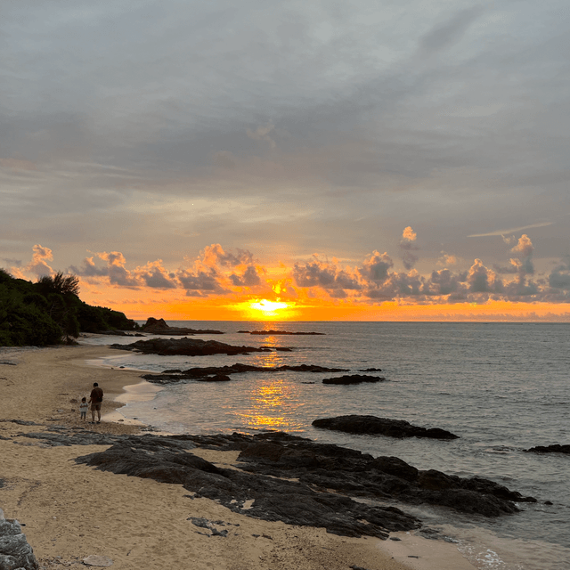 image of the article