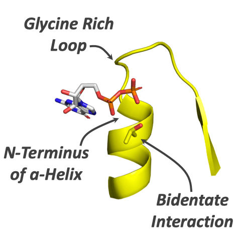 image of the article