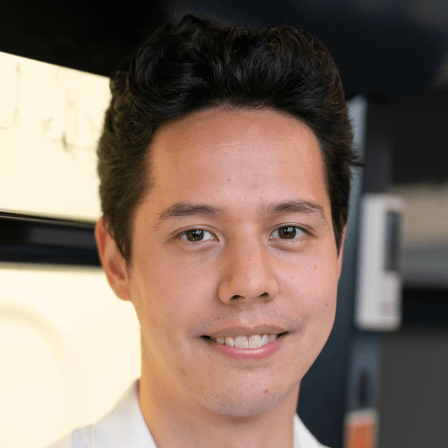 image of the article