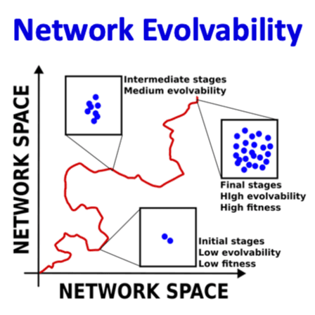 image of the article