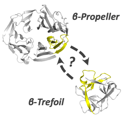Manuscript Accepted to Protein Science