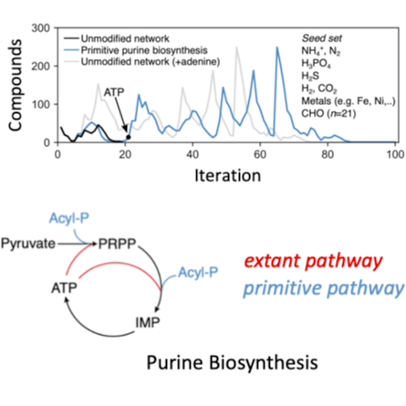 Manuscript Accepted to Nature Ecology and Evolution
