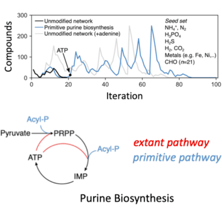 image of the article