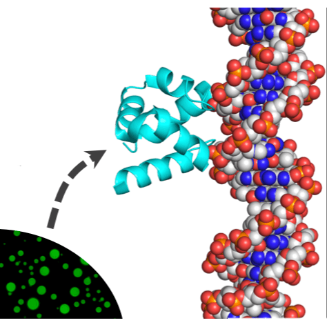 Manuscript Accepted to PNAS