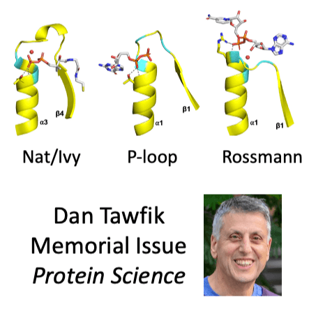 Manuscript Accepted to the Dan Tawfik Memorial Issue of Protein Science