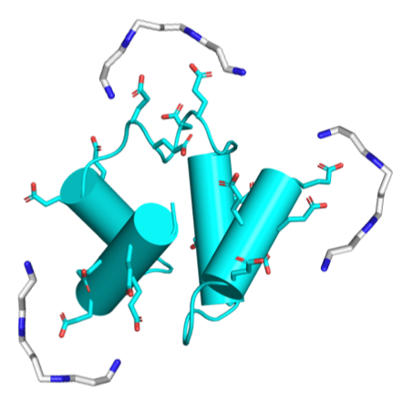 Manuscript Accepted to Biochemistry
