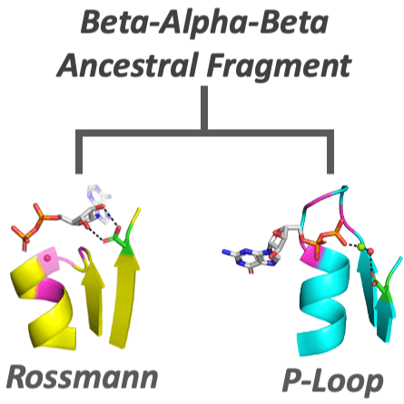 Manuscript Accepted to eLife