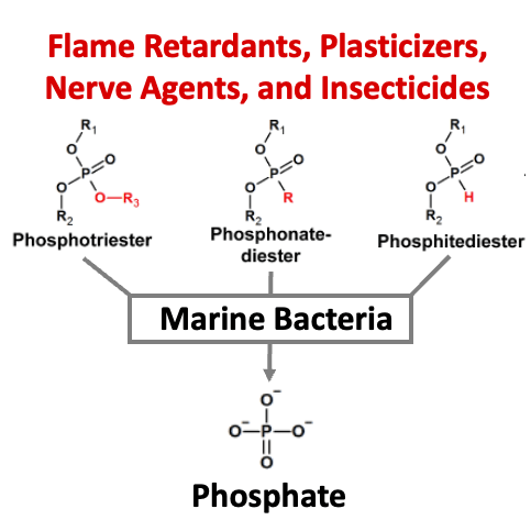 Manuscript Accepted to PNAS