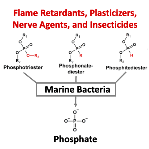 image of the article